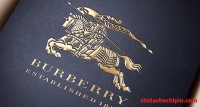 巴宝莉Burberry仿牌手镯项链一般多少钱?从哪些方面可以鉴别仿牌和正品的差别?
