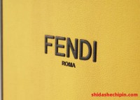 Fendi VS Gucci:品牌介绍,哪个品牌更早?产品价格更贵?档次更高?