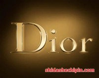 Christian Dior VS Gucci:品牌介绍,哪个品牌更早?产品价格更贵?档次更高?